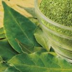 лавровый лист молотый