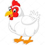 аромат курицы